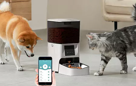 Princípio do comedouro automático para animais de estimação