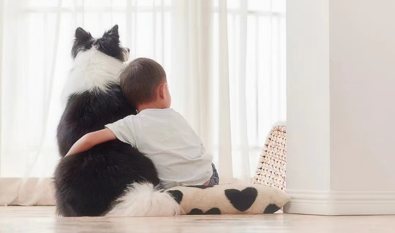 Como escolher uma ração para cães de alta qualidade