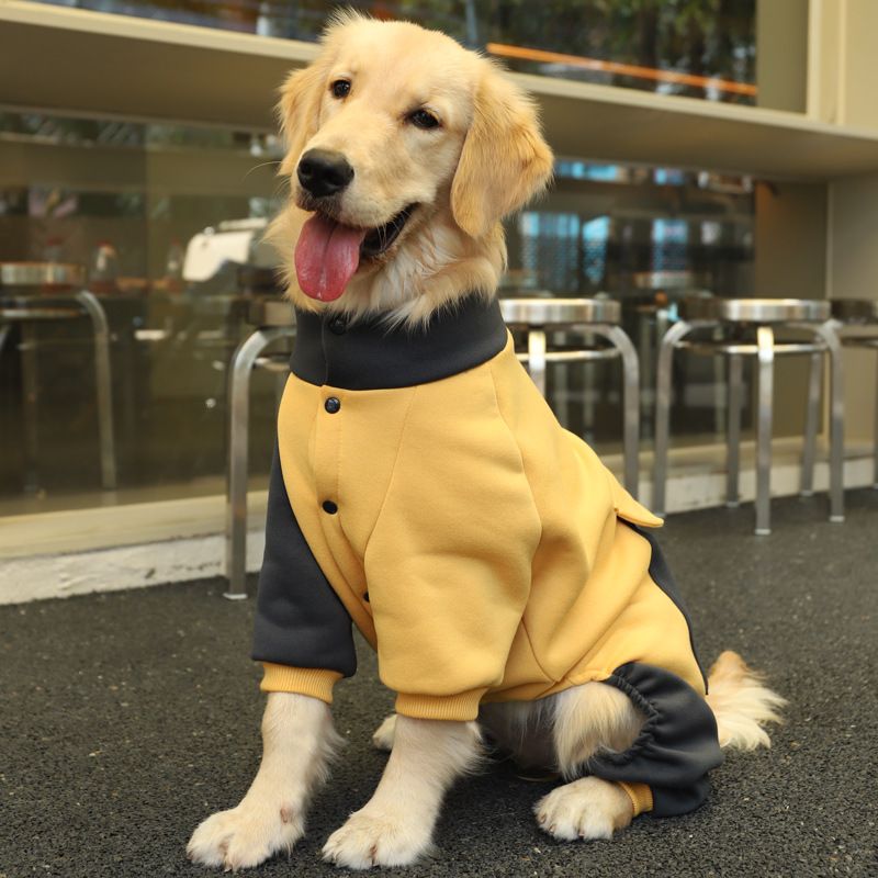 Casaco grande para cachorro de estimação